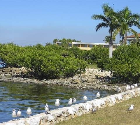 Seagulls standing on the sandy shore, close to the water's edge, with gentle waves lapping nearby.